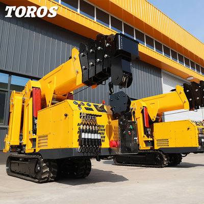 1 ton spinnekraaier kraan mini kraan met spoor hoge prestaties